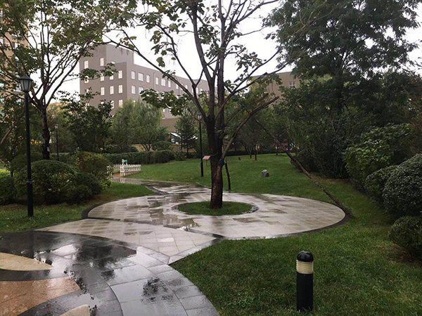 園林養(yǎng)護(hù)